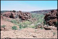 RIMG0077_ROLL2DX-19