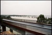 RIMG0307_ROLL1DX-17