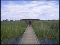 RIMG0315