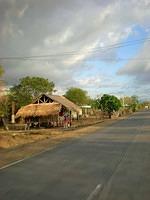 DSCN2666
