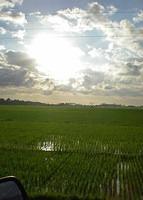 DSCN2667
