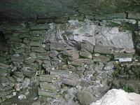 DSCN2734