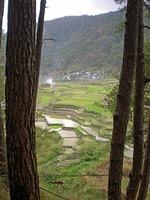 DSCN2737