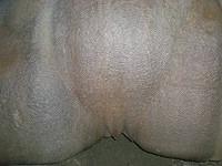 DSCN2747