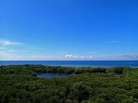 P2090090
