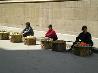 DSCN0100
