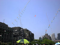 DSCN0104