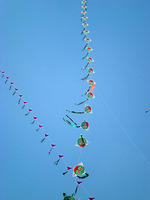 DSCN0105