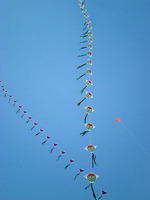 DSCN0106