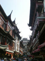 DSCN0109