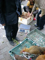 DSCN0114