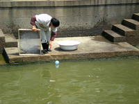 DSCN0137