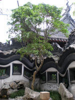 DSCN0166