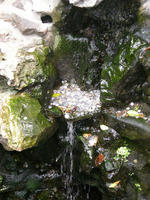 DSCN0167
