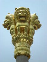 DSCN0184