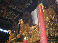 DSCN0193