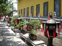 DSCN0196