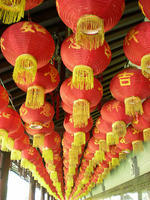 DSCN0199