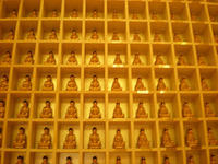 DSCN0200