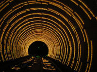 DSCN0204