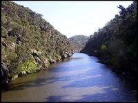 20040213_RIMG0047