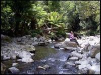 20040213_RIMG0054
