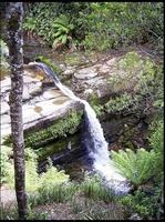 20040213_RIMG0056
