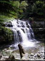 20040213_RIMG0058