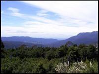 20040213_RIMG0063