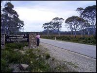 20040213_RIMG0069