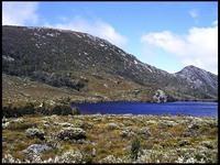 20040215_RIMG0077