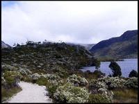 20040215_RIMG0078