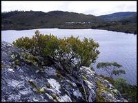 20040215_RIMG0080