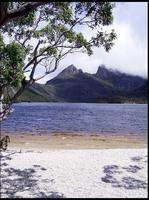 20040215_RIMG0082