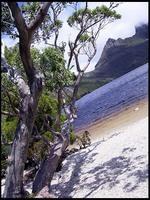 20040215_RIMG0083