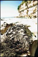 20040216_RIMG0092