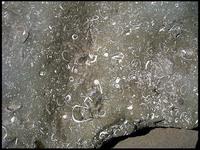 20040216_RIMG0094