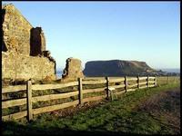 20040216_RIMG0114